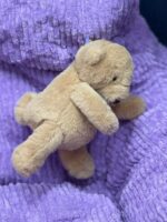 MULTPOINT Cute Dolls Bean Bag Chair - Image 5