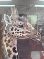 RUANNE MANNING GIRAFFE FRAMED ART WORK - Image 2