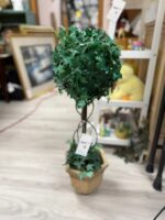 ENGLISH IVY BALL TOPIARY 30"TALL - 8" WIDE BASE