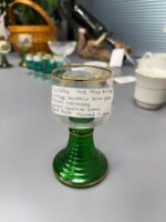 VINTAGE SOUVENIR WINE GLASS KASSEL GERMANY - Image 3