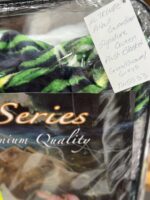 NU TRENDZ PITBULL GUARDUIAN SIGNATURE SERIES PLUSH QUEEN BLANKET - 79" X 94" - Image 5